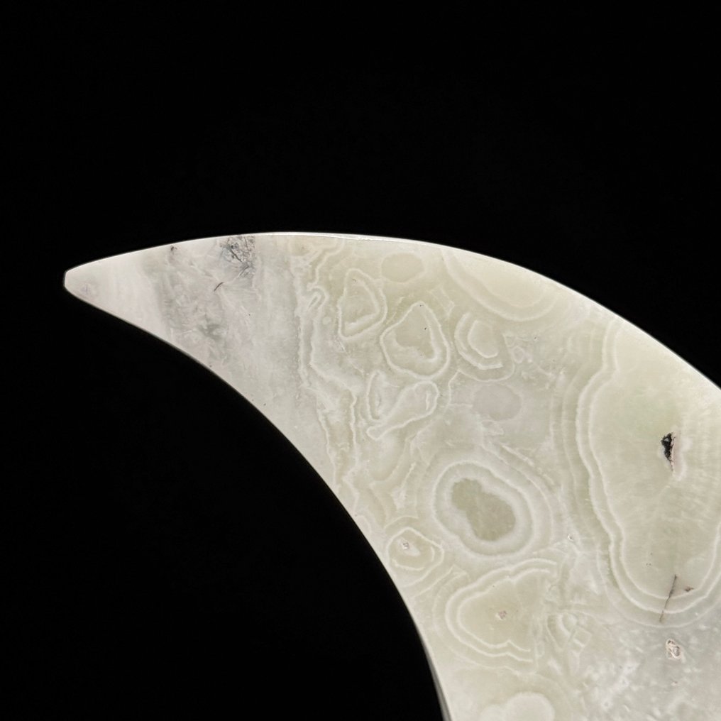 Χωρίς ελάχιστη τιμή - Ένα όμορφο όνυχας Σε σχήμα σεληνιακού φεγγαριού σε μια προσαρμοσμένη βάση. - Ύψος: 27.3 cm - Πλάτος: 14.8 cm- 1700 g - (1) #3.2