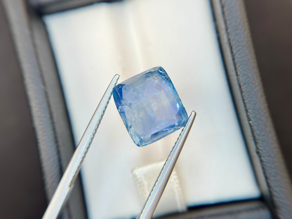 χωρίς τιμή ασφαλείας Μπλε Ζαφείρι  - 9.79 ct - Lotus Gemology - BURMA BLUE - Χωρίς Θέρμανση #2.1