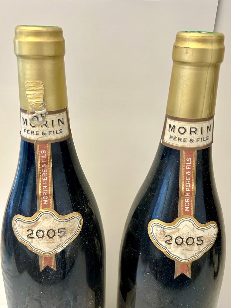 2005 Morin Pere & Fils, - Nuits St. Georges 1er Cru - 2 Pullot (0.7 L) #1.0