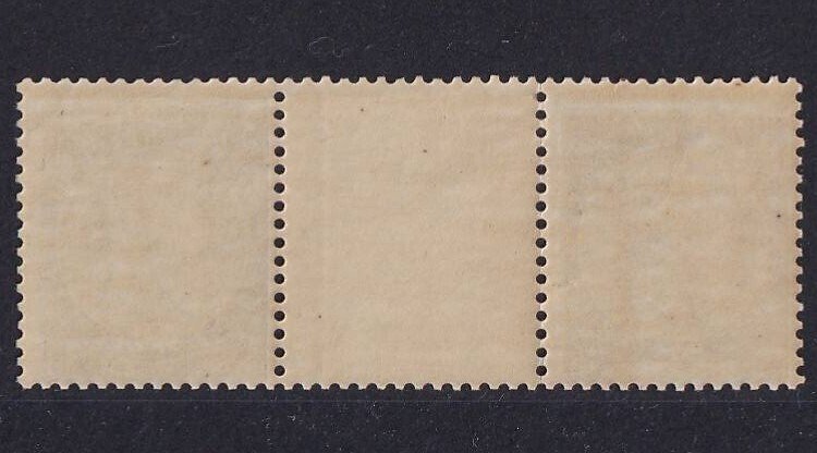 Βέλγιο 1891 - 35c Μωβ καφέ σε γκρι-καφέ x2 με ενδιάμεσο πάνελ, νέος τύπος Leopold II, σπάνιο! - OBP/COB 49 #1.0