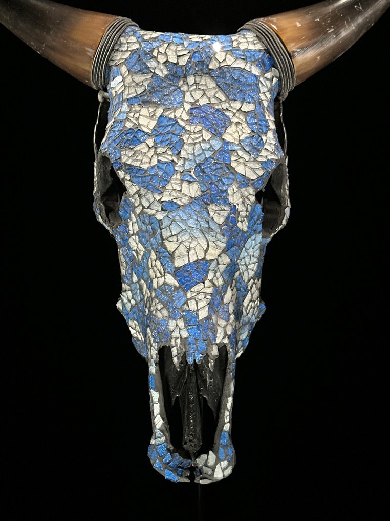 无底价 - 惊艳的牛头骨，配以淡蓝色玻璃马赛克镶嵌 頭骨 - Bos Taurus - 52 cm - 49 cm - 15 cm- 非《瀕臨絕種野生動植物國際貿易公約》物種 #1.0