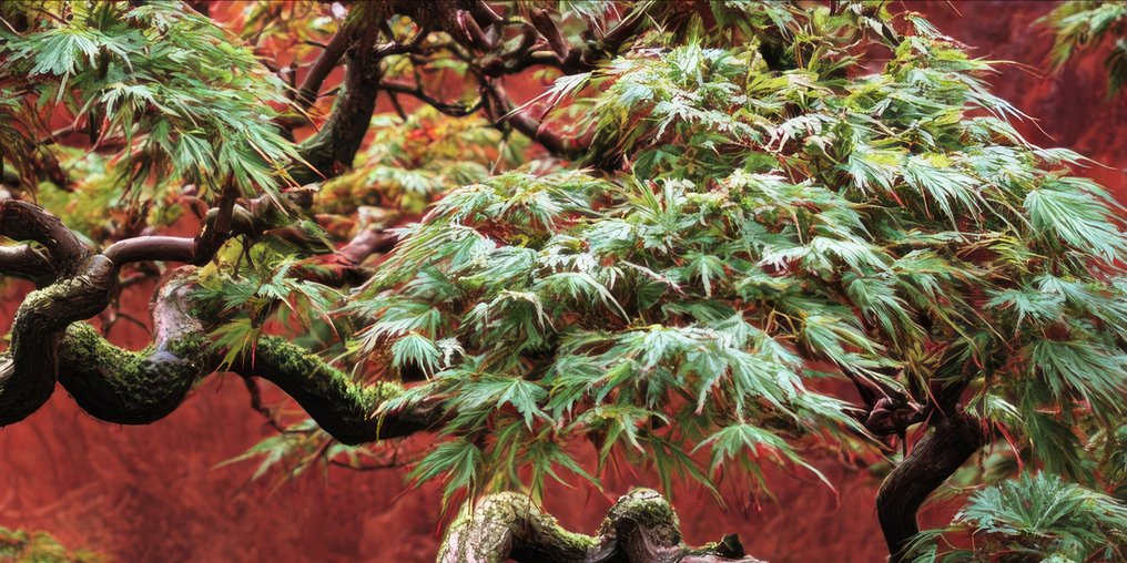 Miss Evoke - Fathom - XXL #3.2