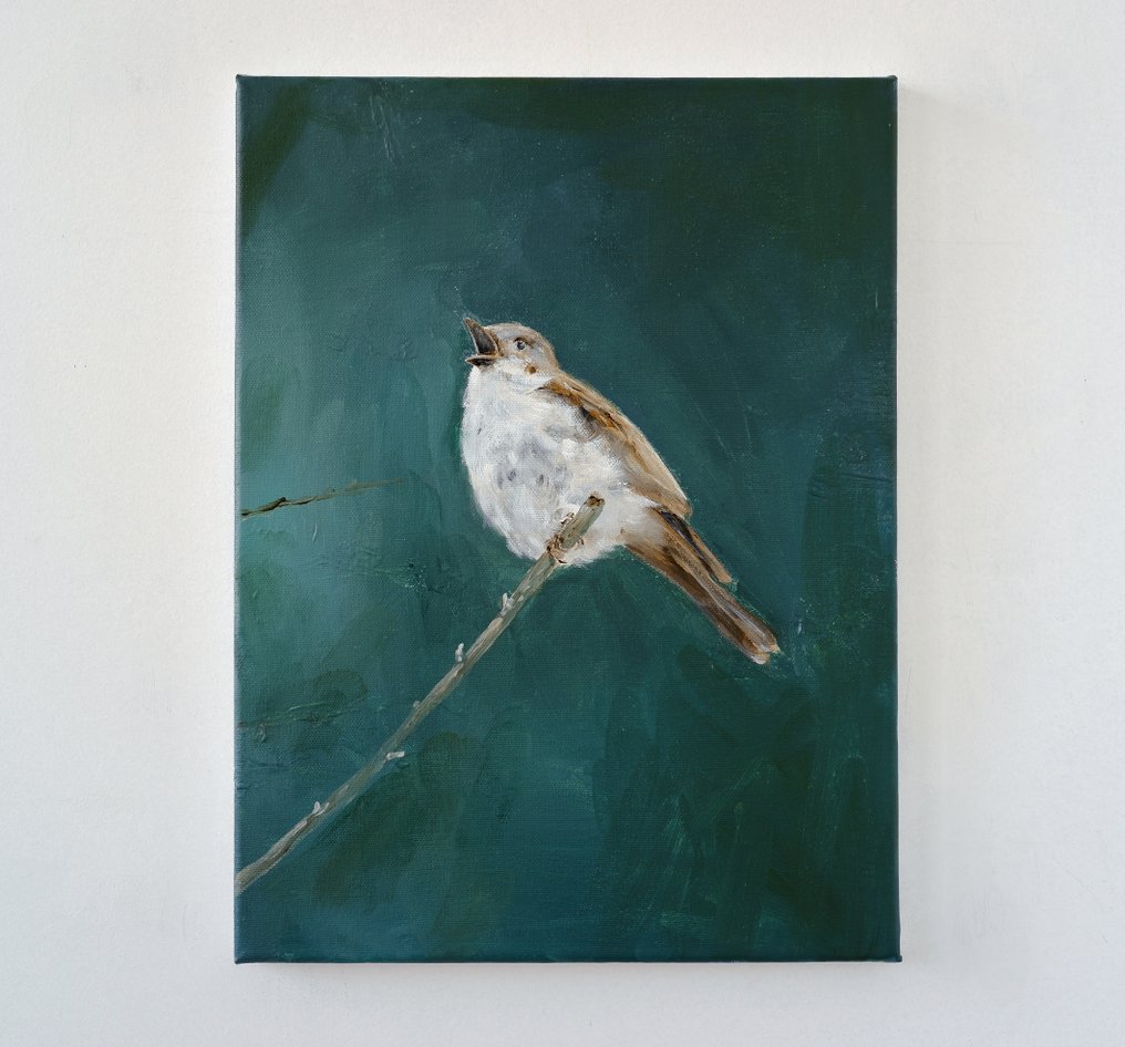 Matthieu van Riel - Bird #1.0