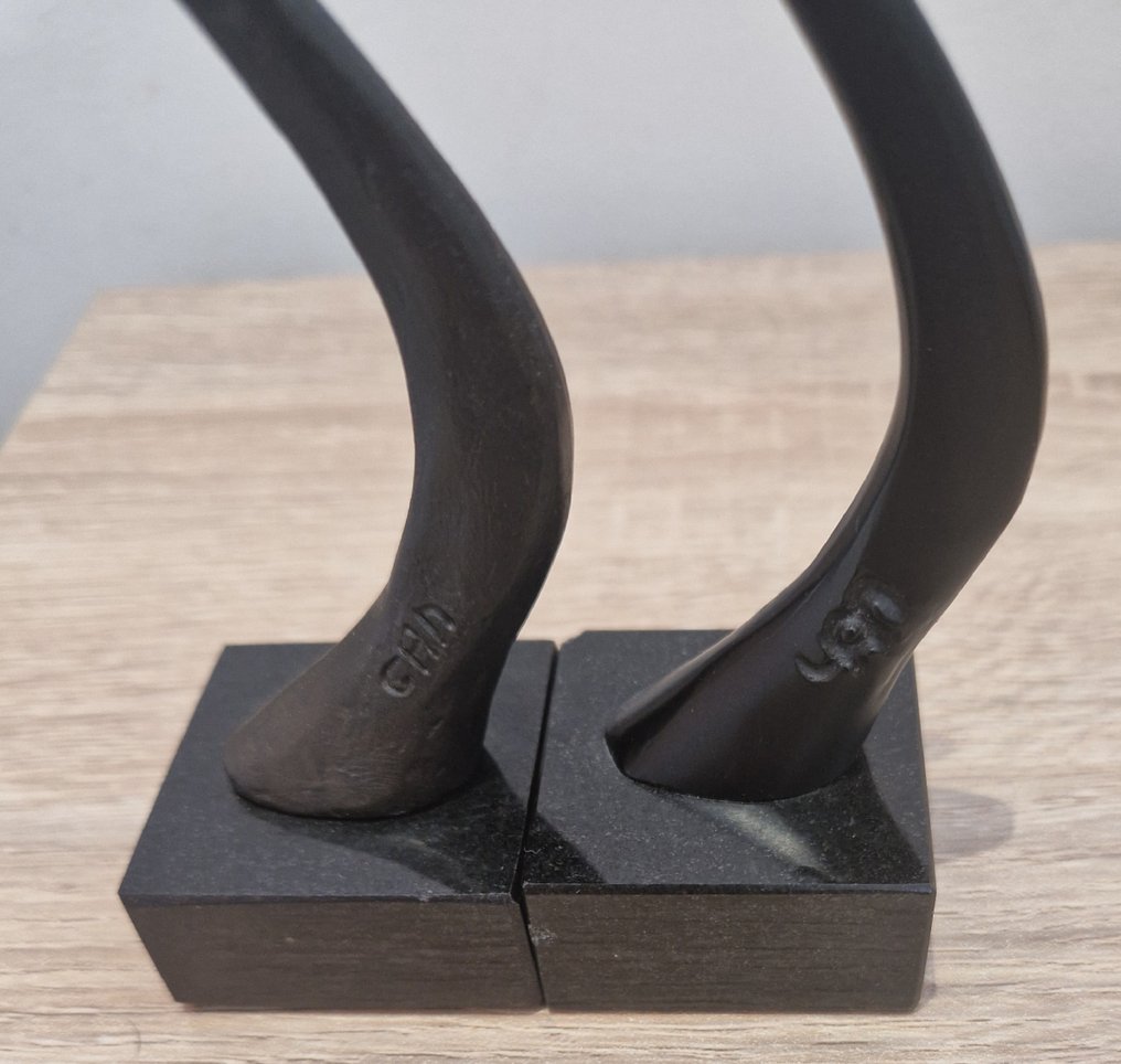 Corry Ammerlaan - Γλυπτό, “Sanquin Blood Bank” - 24 cm - Μπρούντζος - 2000 #4.3