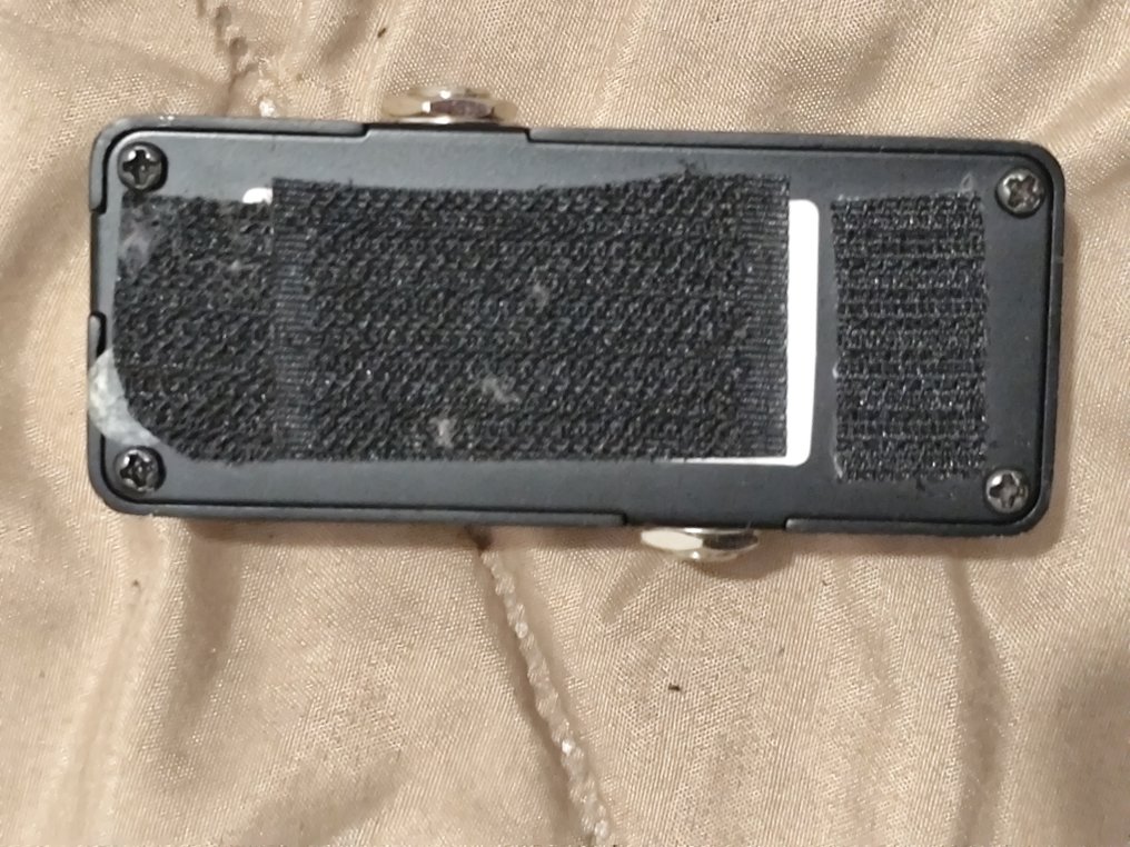 Mode Machine Delay, Pedal - Effect pedal  (No reserve price) #3.2