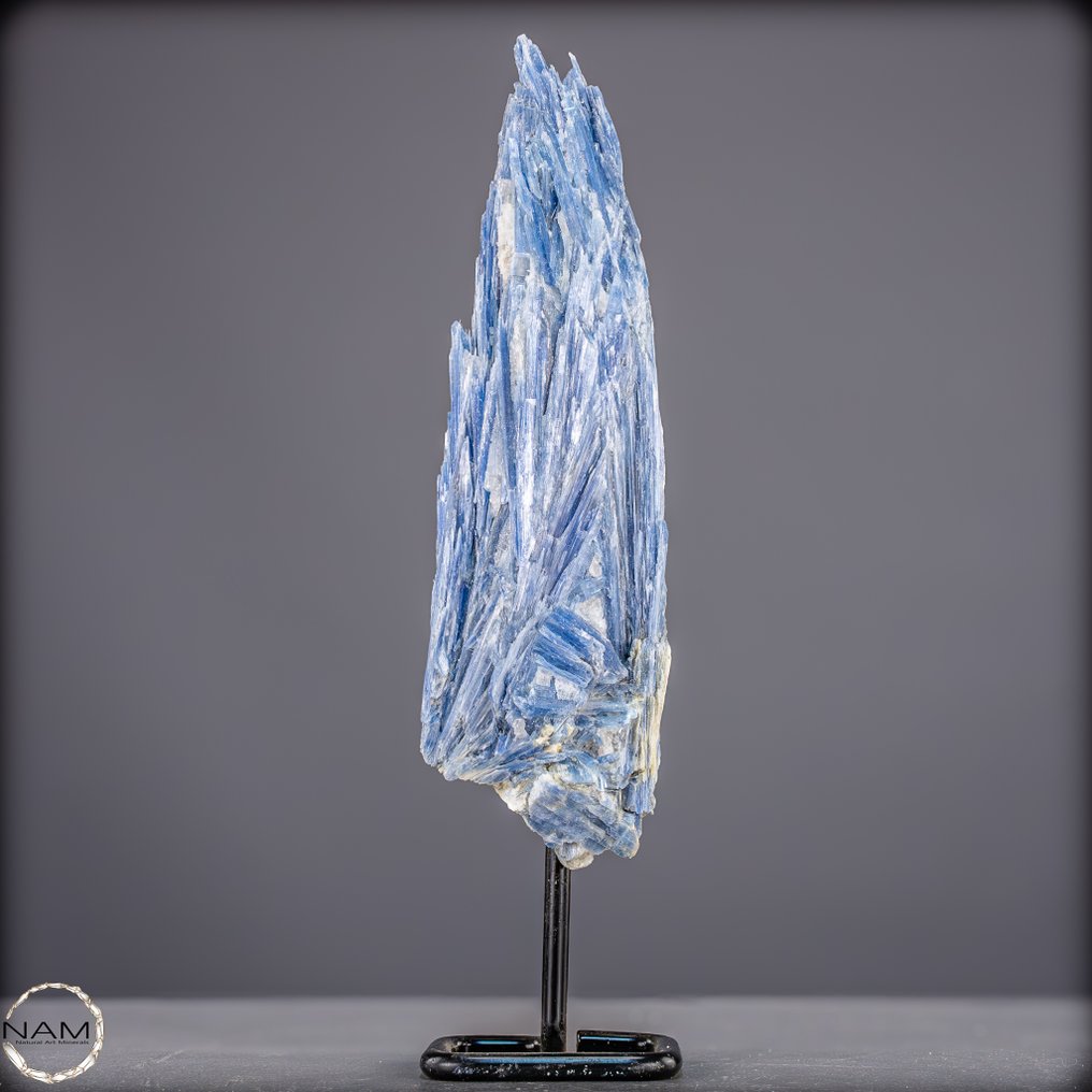 非常罕见的天然Kyanite水晶簇 在展台上- 678.88 g #1.0