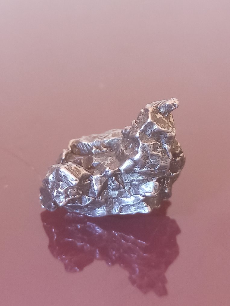 Μετεωρίτης Campo del Cielo. Ειδικό Αντίτυπο. Χωρίς τιμή ελάχιστης προσφοράς!!! - 22.65 g #1.0