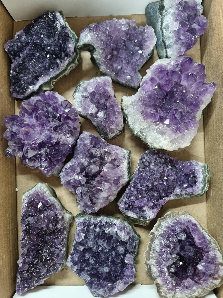 Big Lot HQ 乌拉圭紫水晶簇 9.5 - 5.5 厘米 水晶群- 1.19 kg #1.0