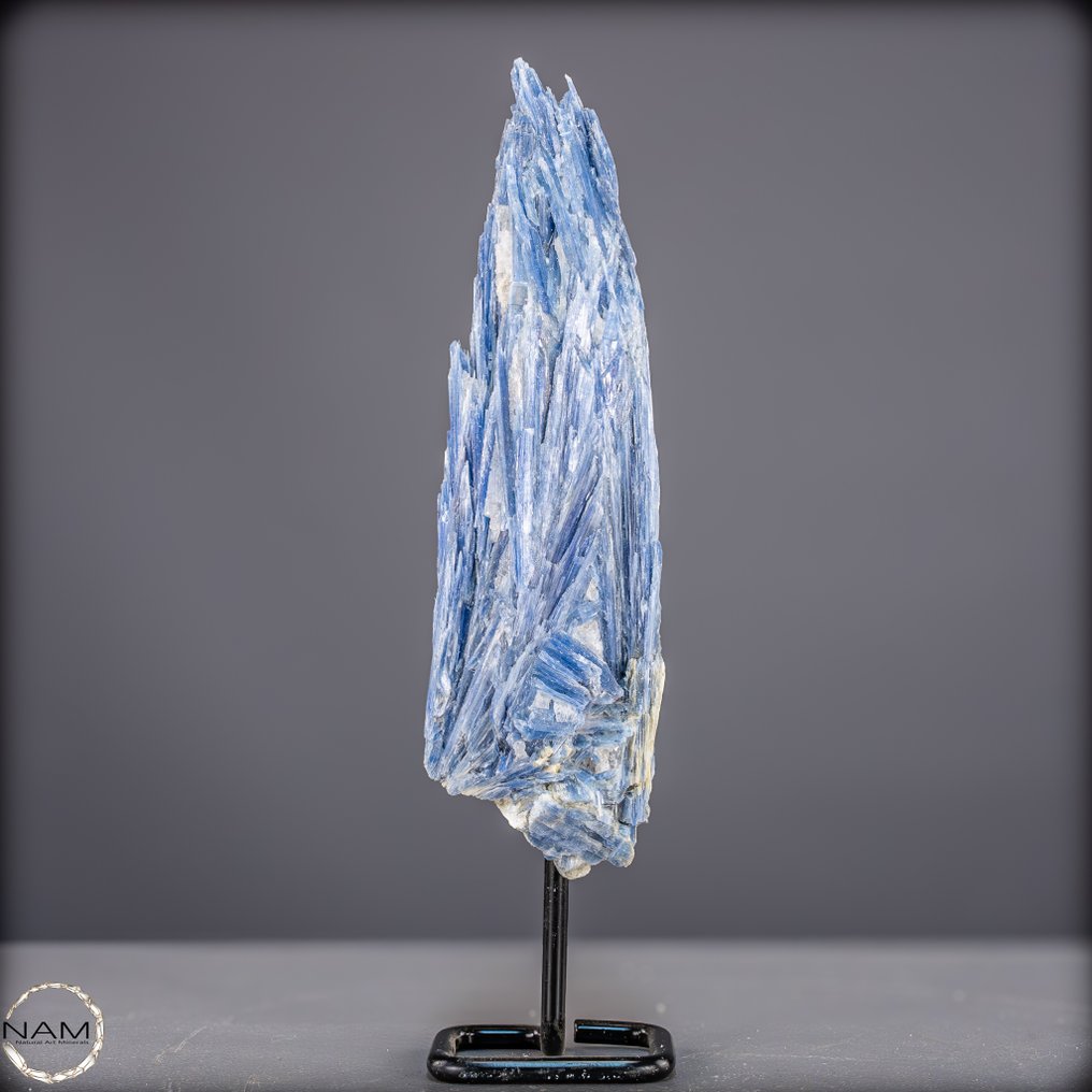 非常罕见的天然Kyanite水晶簇 在展台上- 678.88 g #4.3