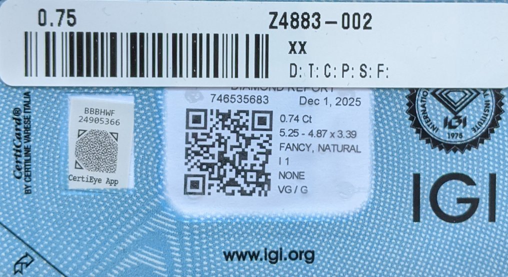 没有保留价 - 1 pcs 钻石 (天然色彩的) - 0.74 ct - 雷地恩型 - Fancy intense 似橙色 黄色 - I1 内含一级 - 国际宝石研究院(IGI) #3.2