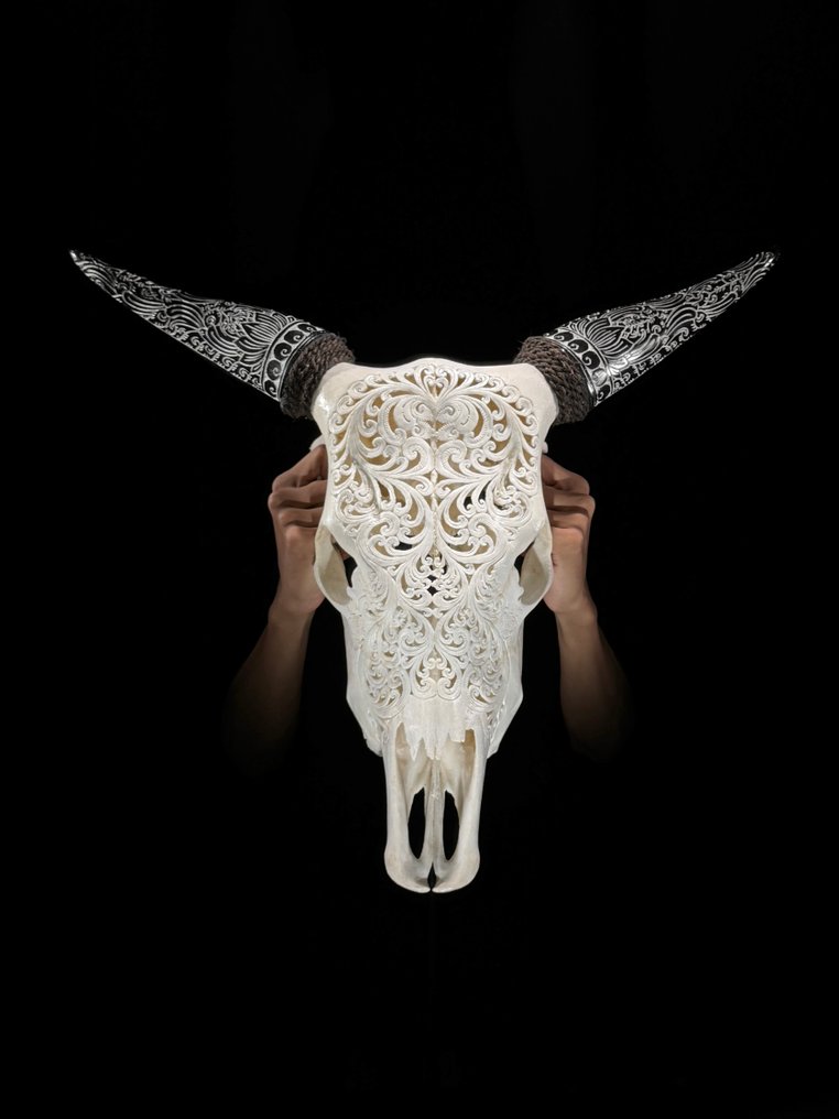 无底价 - 白色雕刻牛头骨配波希米亚雕刻角 - 传统巴厘岛图案 雕刻頭骨 - Bos Taurus - 53 cm - 60 cm - 16 cm- 非《瀕臨絕種野生動植物國際貿易公約》物種 -  (1) #2.1