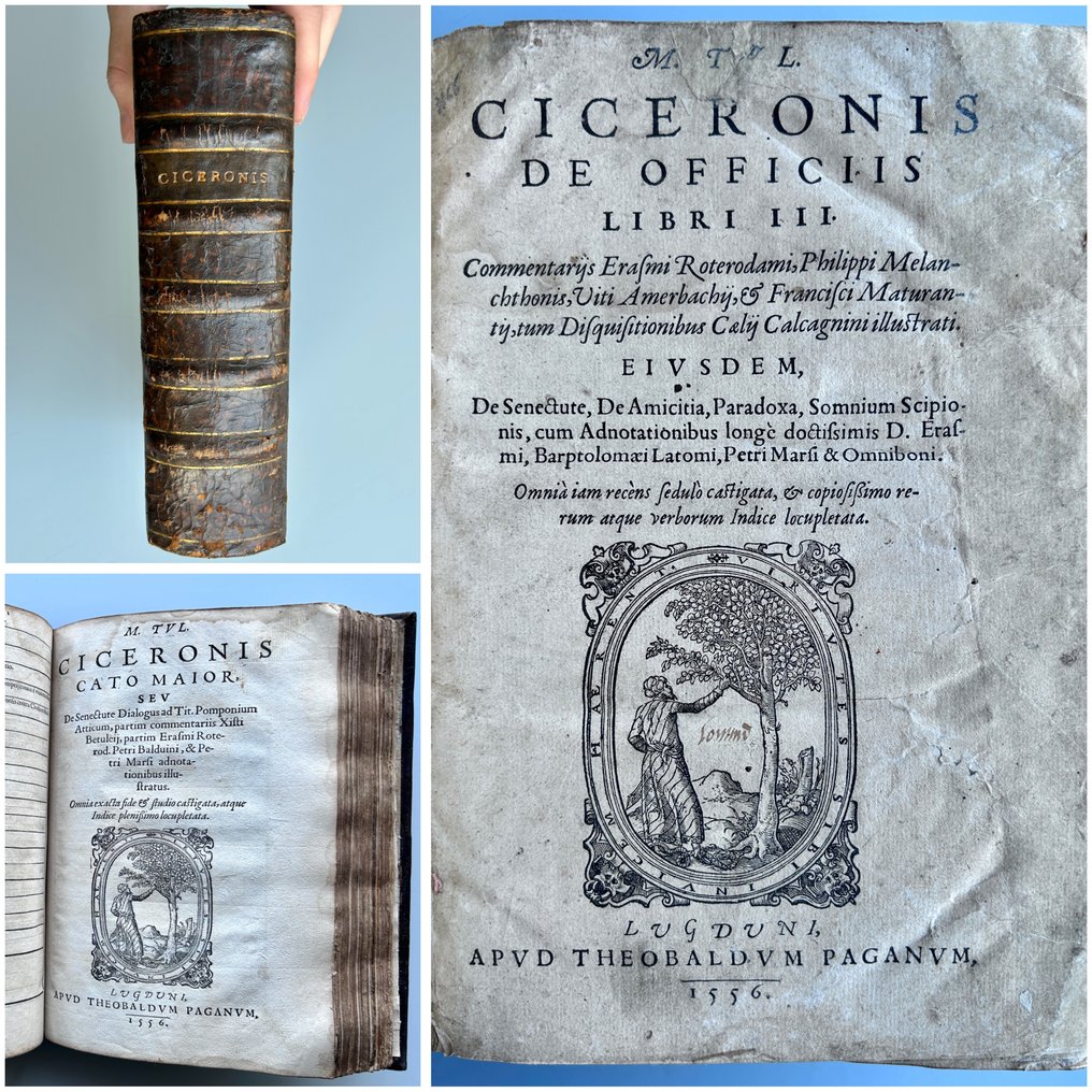 Marcus Tullius Cicero - M. Tul. Ciceronis De Officiis libri lll - 1556 #1.0