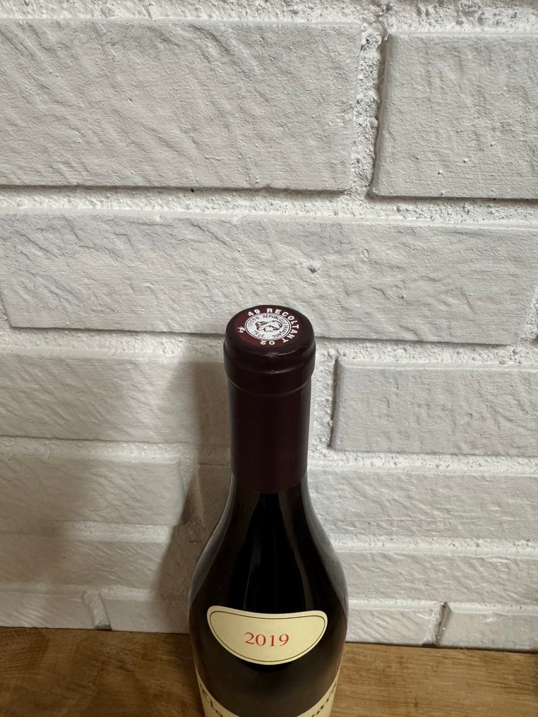 2019 Clos Rougeard - Saumur-Champigny - 1 Pullo (0.75L) #2.1