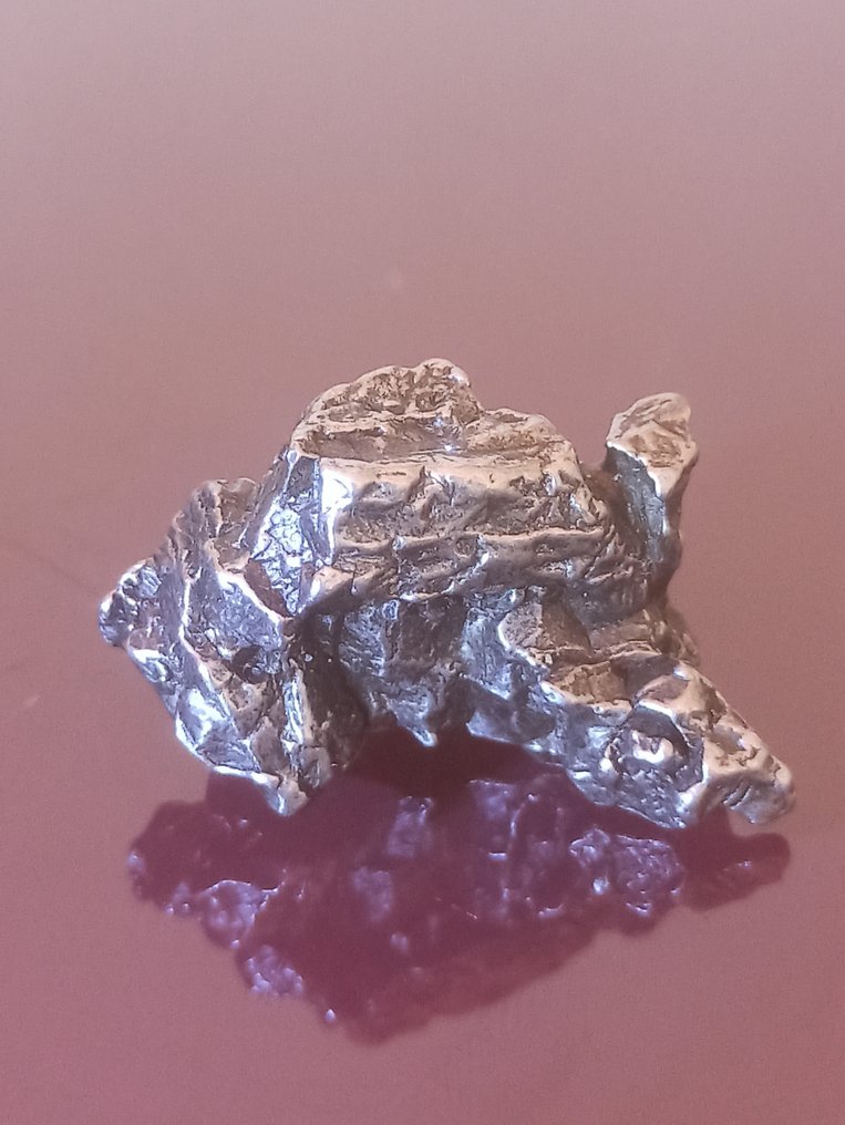 Μετεωρίτης Campo del Cielo. Ειδικό Αντίτυπο. Χωρίς τιμή ελάχιστης προσφοράς!!! - 22.65 g #3.2