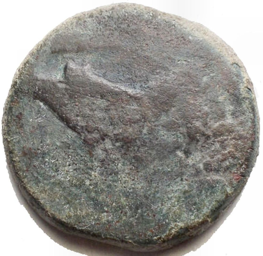 西西里，Akragas Æ Countermarked  (沒有保留價) #1.0