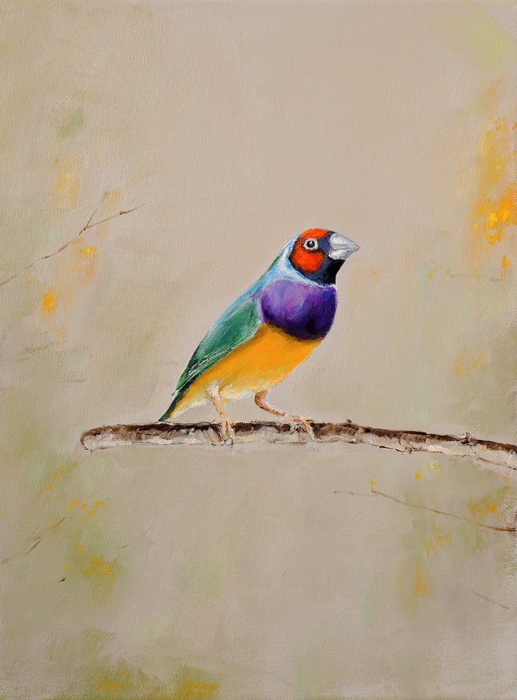 Matthieu van Riel - Gouldian Finch #1.0