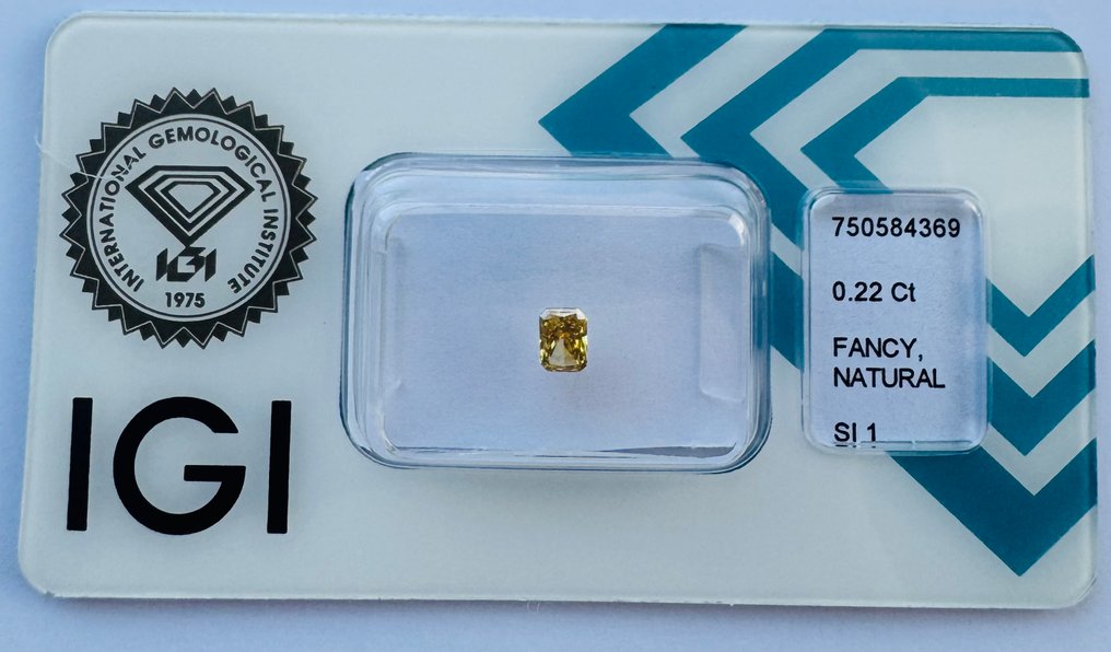没有保留价 - 1 pcs 钻石  (天然色彩的)  - 0.22 ct - 雷地恩型 - Fancy intense 似橙色 黄色 - SI1 微内含一级 - 国际宝石研究院（IGI） - 无VG #1.0