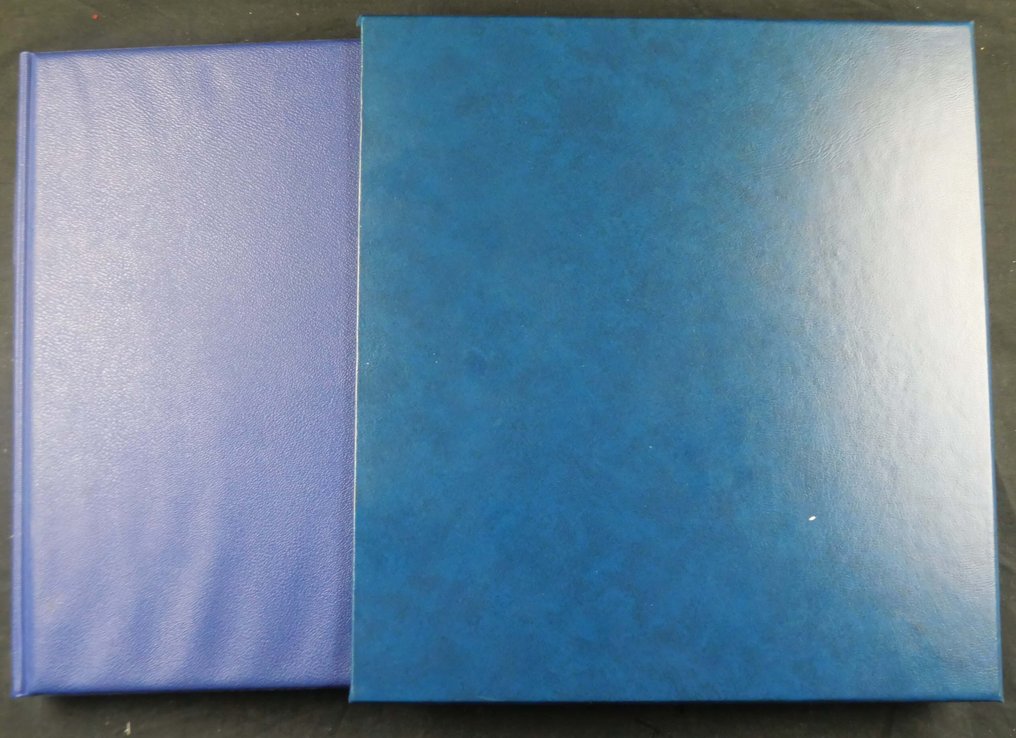 同盟國軍事佔領－德國  - Lindner Falzlos专辑 - SBZ和法国区保存得非常完好，带有环形夹和磁带。 #1.0