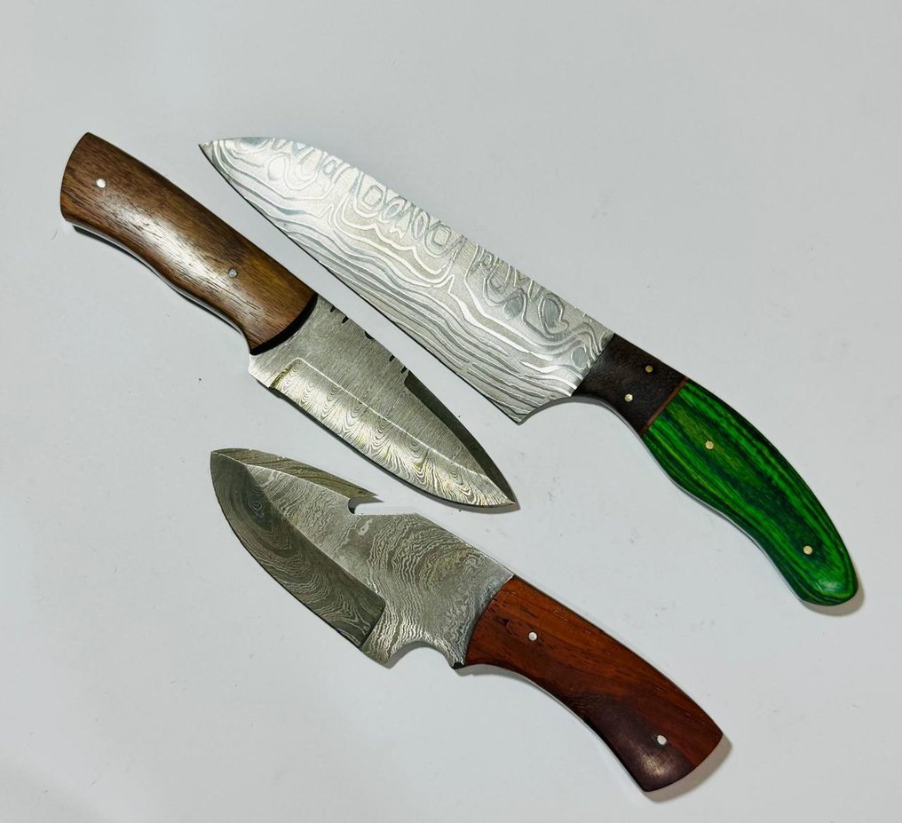 Μαχαίρι κουζίνας - Kitchen knife set -  Μαχαίρι τραπεζαρίας (0112) - Χερούλι από εξωτικά αμερικανικά ξύλα και διπλωμένο ατσάλι. - Ηνωμένες Πολιτείες - Μαχαίρι τραπεζιού κουζίνας #1.0