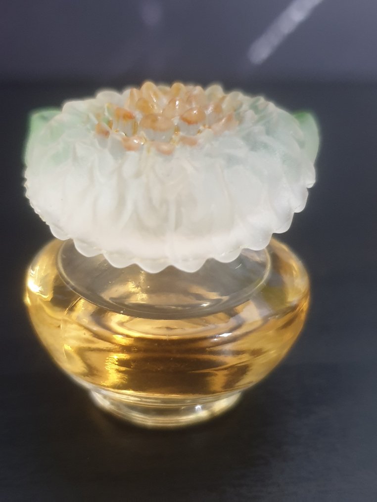 Various Brands - Various - Perfume bottle (12) - Glass, Plastic - 12Pc Miniature Perfumes #2.1