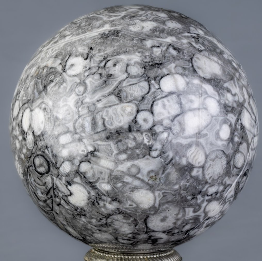 Shell 石头 优质贝壳石球体 - 高度: 14.7 cm - 宽度: 14.7 cm- 4505 g #1.0