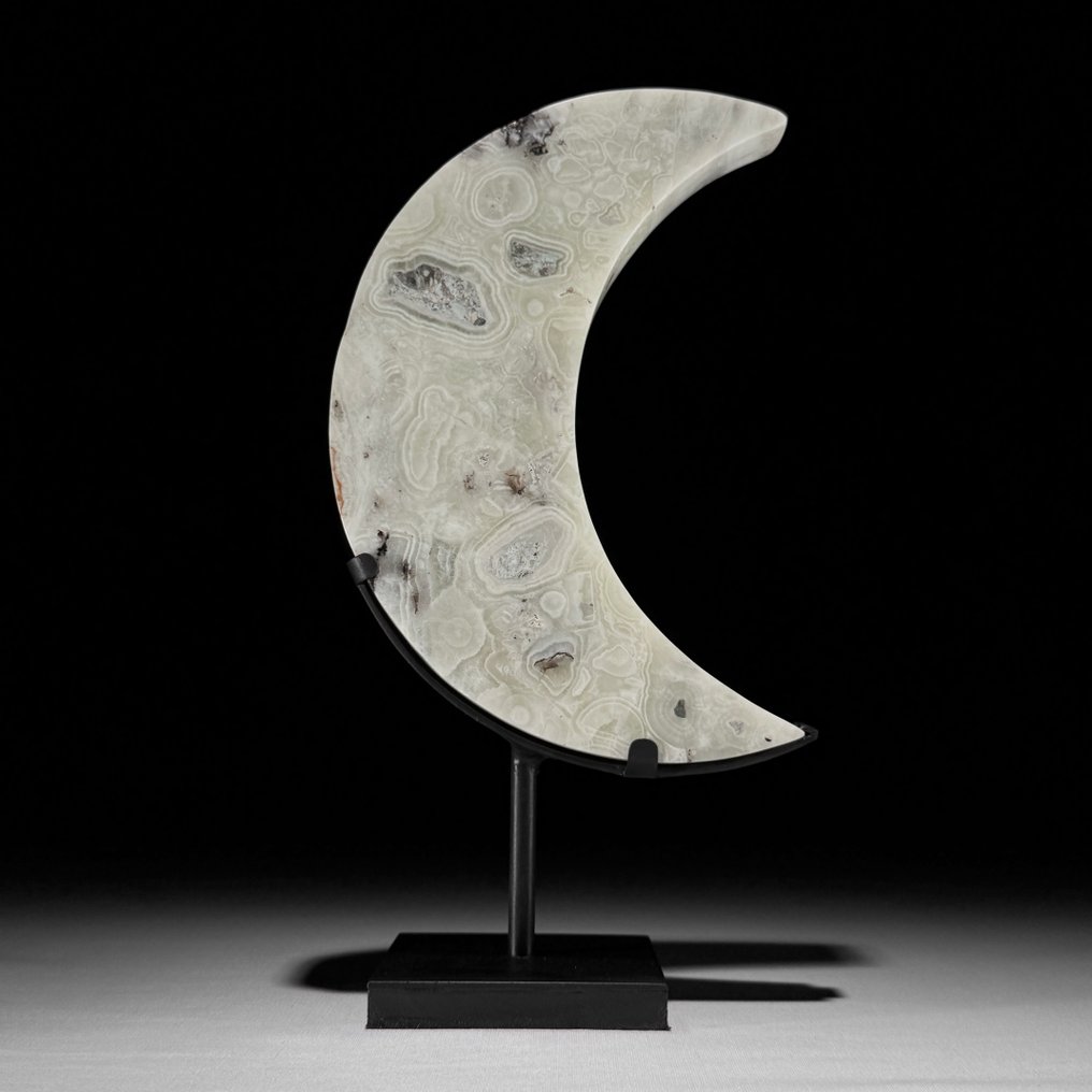 Χωρίς ελάχιστη τιμή - Ένα όμορφο όνυχας Σε σχήμα σεληνιακού φεγγαριού σε μια προσαρμοσμένη βάση. - Ύψος: 27.3 cm - Πλάτος: 14.8 cm- 1700 g - (1) #1.0