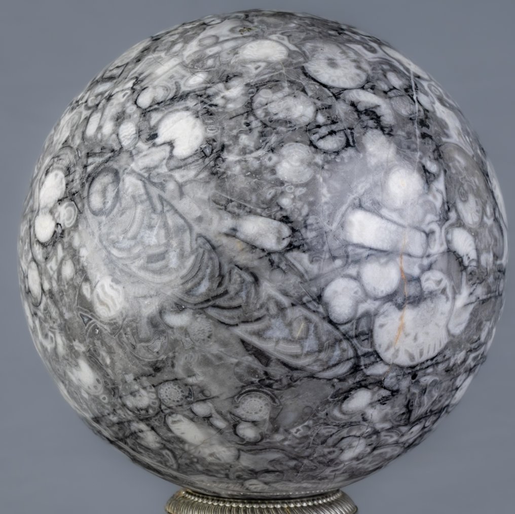 Shell 石头 优质贝壳石球体 - 高度: 14.7 cm - 宽度: 14.7 cm- 4505 g #1.0