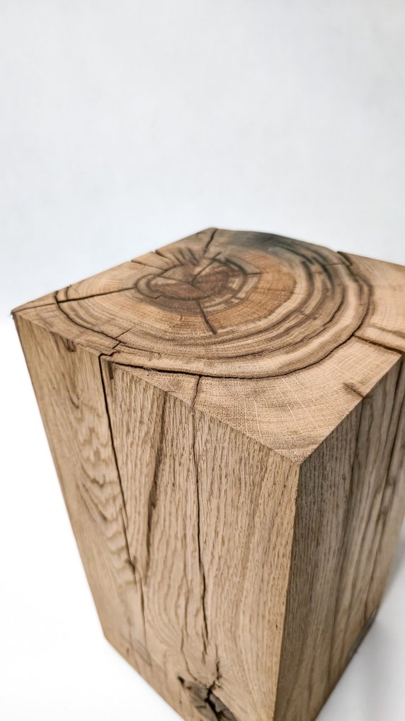 The Forest - Art & Woodworking Studio - Side table - Oak - Recycled Oak Log Coffee Table #4.3