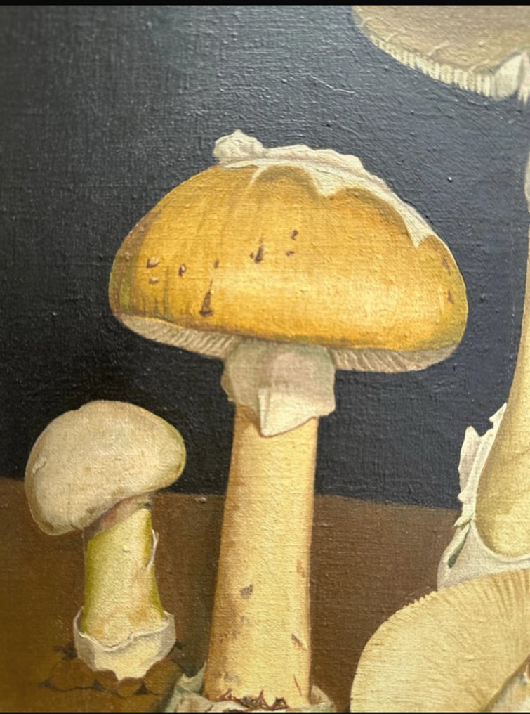 Giovanni Dondi - Lascia pure il figurativo al medio Evo #2.1