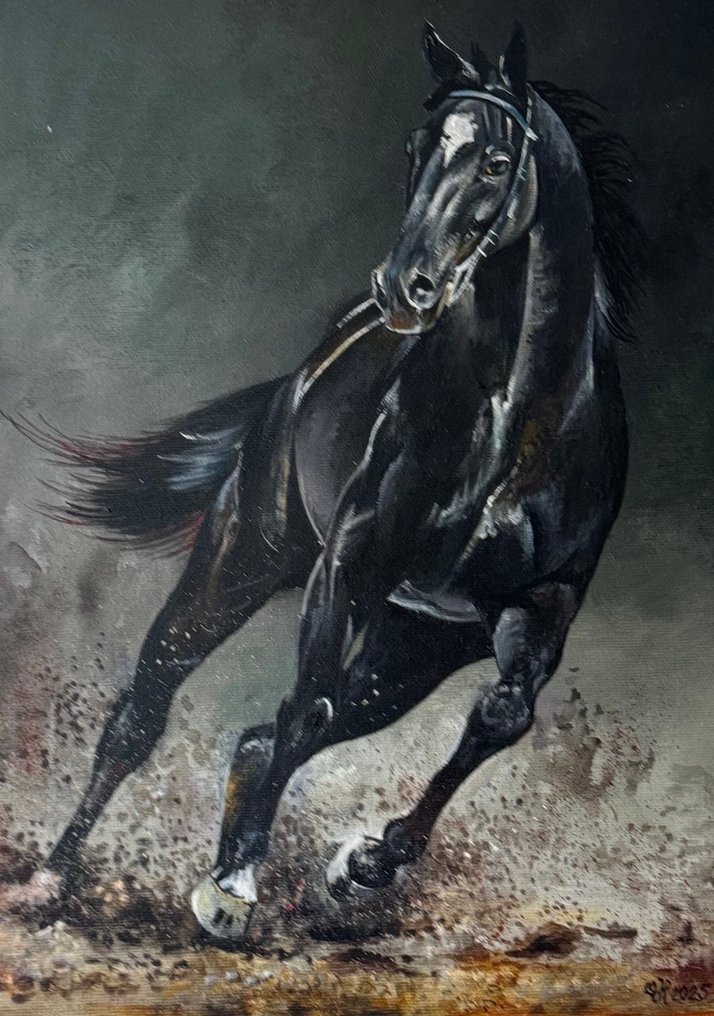 Alexander Nakonechnyi (XX-XXI) - Into the Darkness We Go #1.0