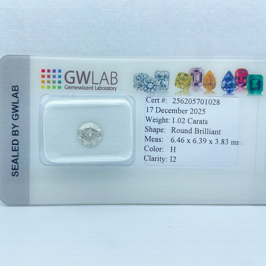 没有保留价 - 1 pcs 钻石  (天然)  - 1.02 ct - 圆形 - H - I2 内含二级 - Gemewizard宝石实验室（GWLab） #3.2