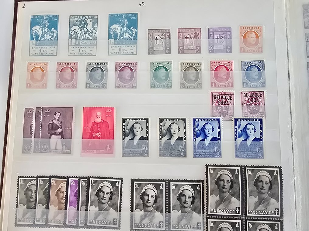 Belgium 1885 - Collection in 3 stockbooks #4.3