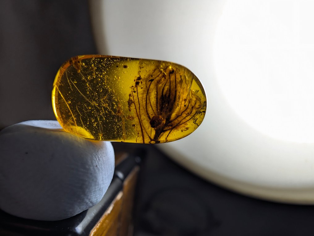 琥珀 - 植物化石 - Pretty Blossomed Flower from 99 million years ago - 17 mm - 10 mm #1.0