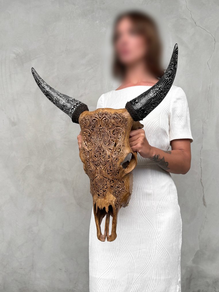 无底价 - 令人惊叹的棕色雕刻牛头骨,配有波西米亚风雕刻角,小莲花图案 雕刻頭骨 - Bos Taurus - 62 cm - 53 cm - 19 cm- 非《瀕臨絕種野生動植物國際貿易公約》物種 - (1) #2.1