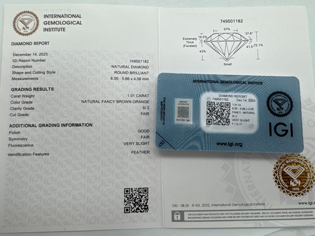 没有保留价 - 1 pcs 钻石 (天然色彩的) - 1.01 ct - 圆形 - Fancy 橙色, 棕色 - SI2 微内含二级 - 国际宝石研究院(IGI) #3.2