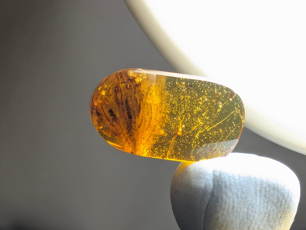 琥珀 - 植物化石 - Pretty Blossomed Flower from 99 million years ago - 17 mm - 10 mm #3.2