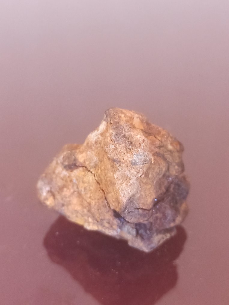 PALASITA SERICHO. Exemplar completo. Sem preço de reserva!!! - 28.02 g #3.2