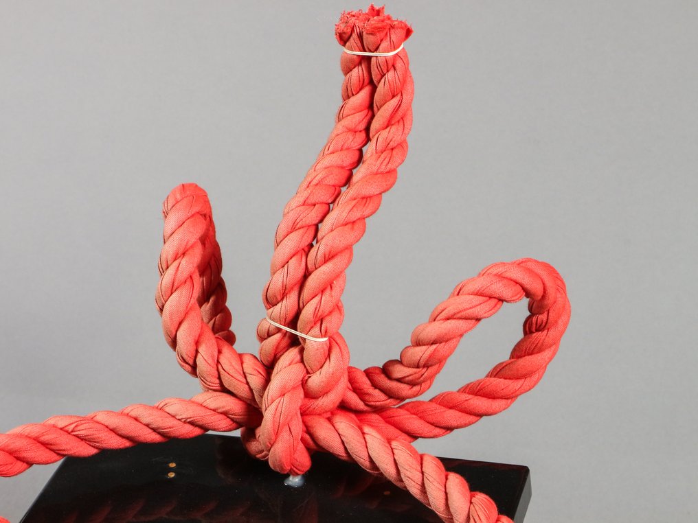 Sumo Yokozuna Zeremonialseil-Display: Unryu- und Shiranui-Stil (Rotes & Weißes Paar) - Shōwa Zeit (1926-1989) #3.2