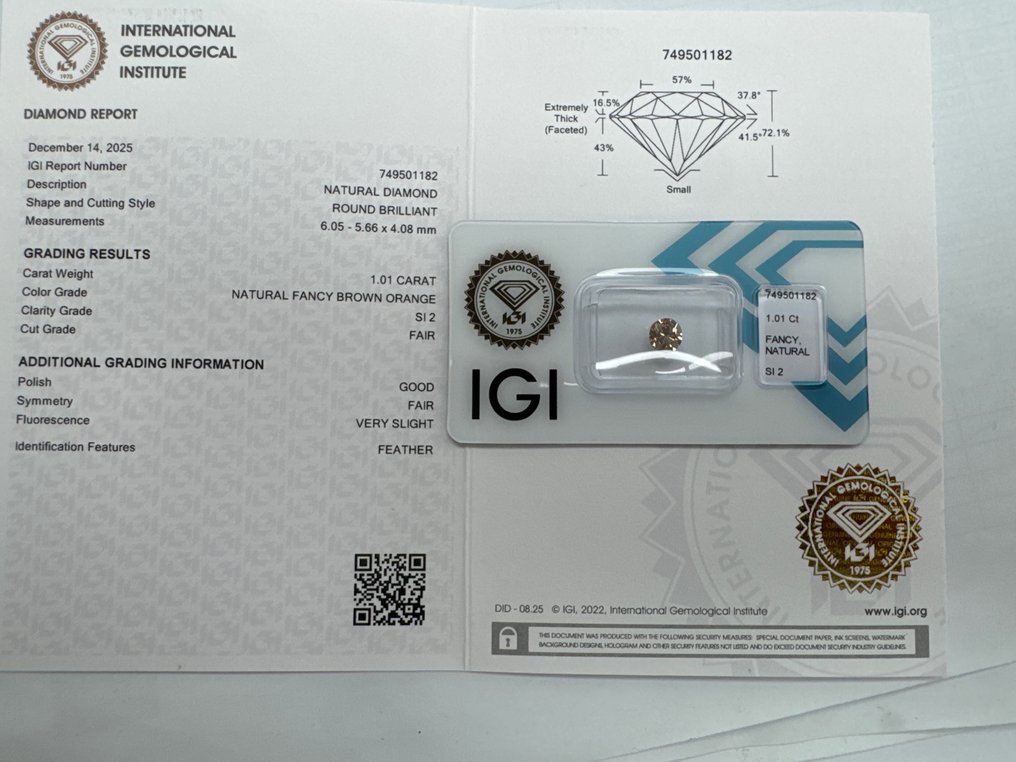 没有保留价 - 1 pcs 钻石 (天然色彩的) - 1.01 ct - 圆形 - Fancy 橙色, 棕色 - SI2 微内含二级 - 国际宝石研究院(IGI) #2.1