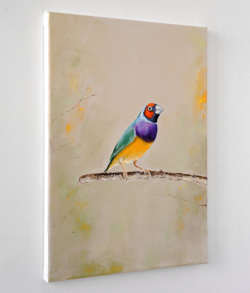 Matthieu van Riel - Gouldian Finch #1.0