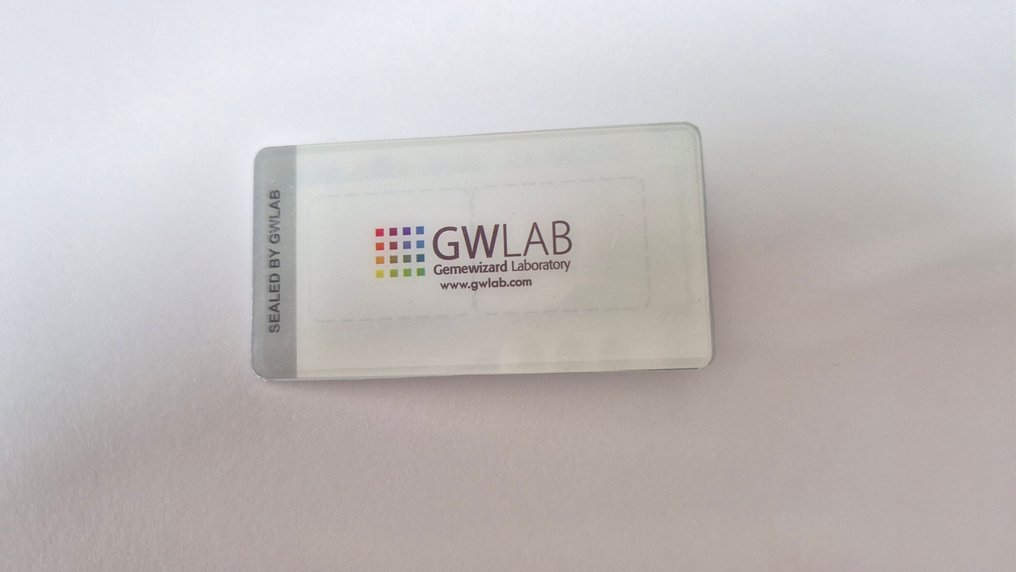 No reserve price - 9 pcs Diamond  (Natural coloured)  - 0.97 ct - Mixed shape Mixed colours - VS2, SI2, SI1 - Gemewizard Gemological Laboratory (GWLab) #2.1