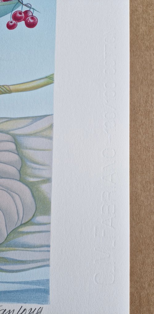 Mara Tranlong - 3 Großformat #3.2