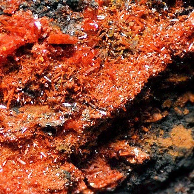 铬铅矿 水晶矩晶体 - 高度: 4 cm - 宽度: 8 cm- 135 g #3.2