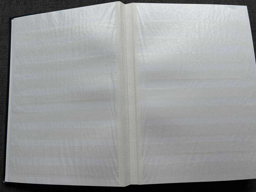 荷蘭  - 5 DAVO FF 股票簿，含24/48页白色页面 #4.3