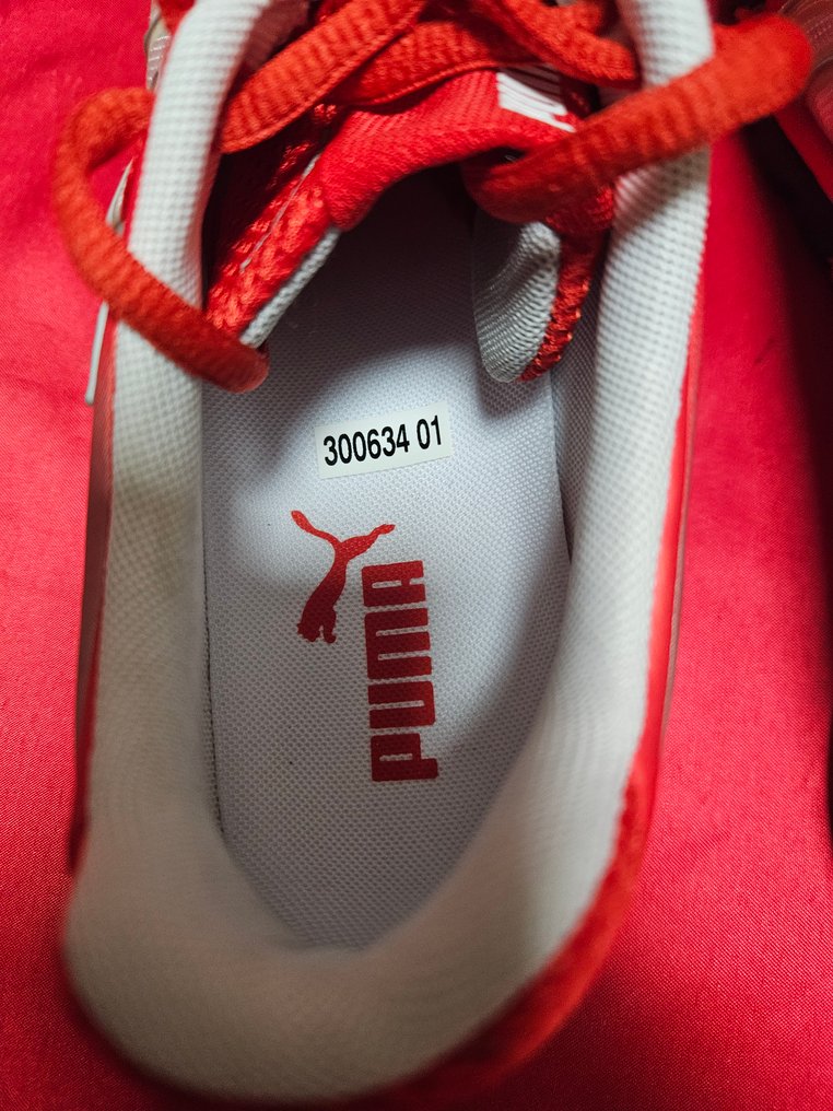 Ferrari Puma - Balerinki - Rozmiar: EU 42 - Nowe w pudełku #3.2