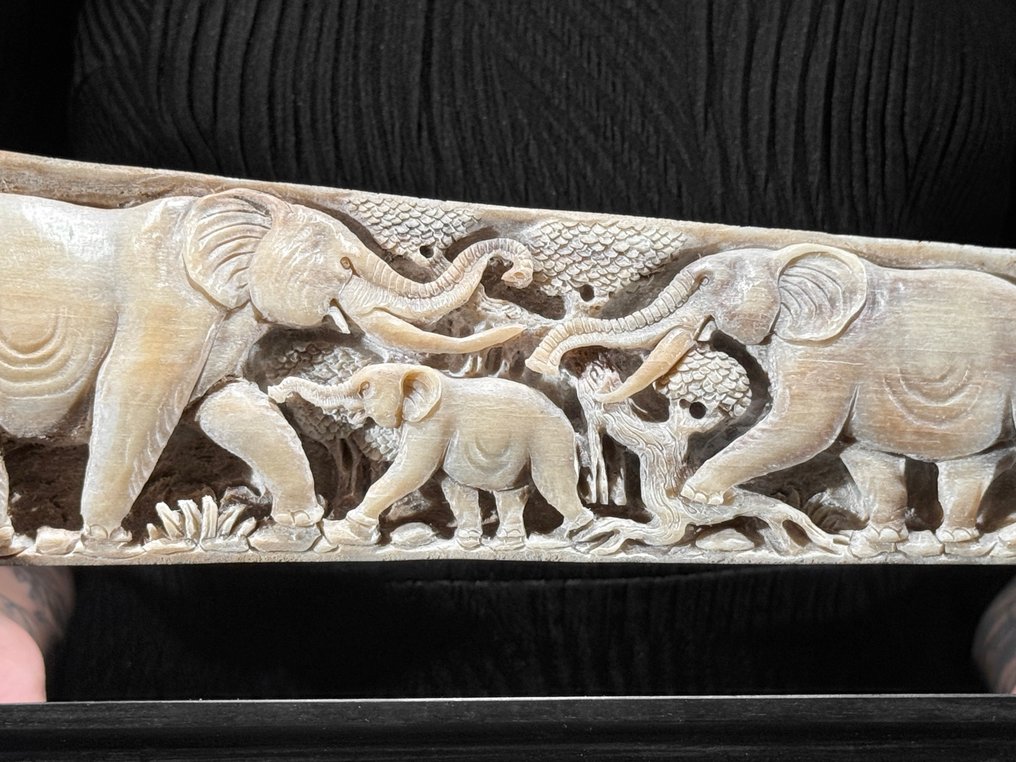 无底价 - 精美的大型雕刻剑鱼獠牙 - 大象图案 喙 - Xiphias Gladius - 16 cm - 85 cm - 6 cm- 非《瀕臨絕種野生動植物國際貿易公約》物種 - (1) #4.3