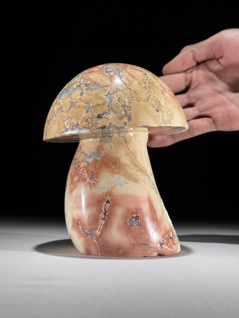 无底价手工雕刻红色Maligano玉髓蘑菇雕塑 独一无二的收藏品 - 高度: 16.2 cm - 闊度: 12 cm- 2800 g - (1) #1.0