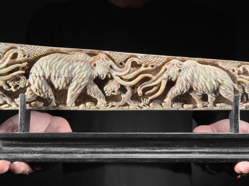 无底价 - 超大雕刻剑鱼獠牙，配展台 - 史前野生动物图案 支架上的吻突 - Xiphias Gladius - 15 cm - 91 cm - 6 cm- 非《濒危物种公约》物种 -  (1) #4.3