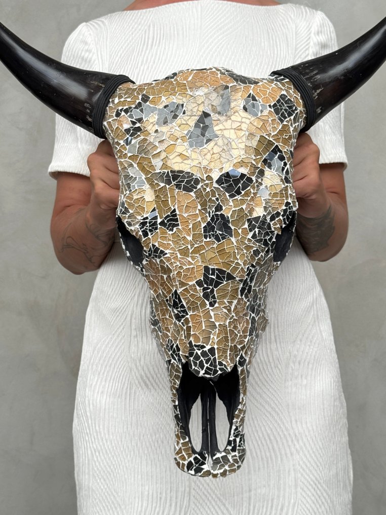 无底价 - 令人惊叹的牛头骨，镶嵌玻璃马赛克 - 金黑色 颅骨 - Bos Taurus - 57 cm - 53 cm - 16 cm- 非《濒危物种公约》物种 -  (1) #1.0