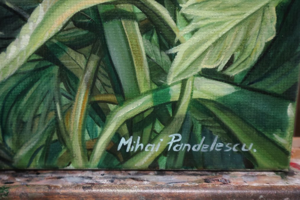 Mihai Pandelescu - The eyes of the jungle #2.1